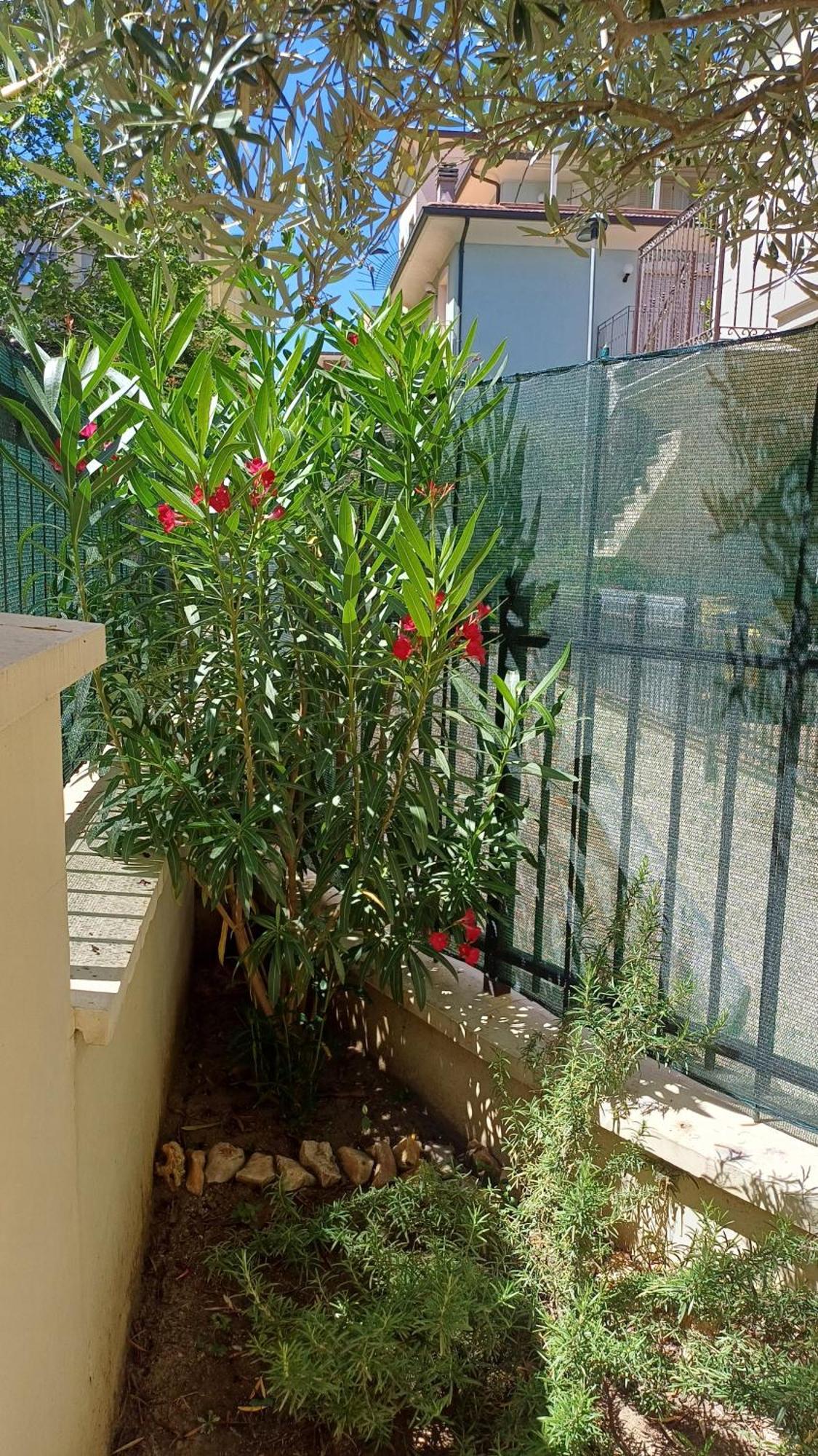 Residence Ducale Rimini Zewnętrze zdjęcie